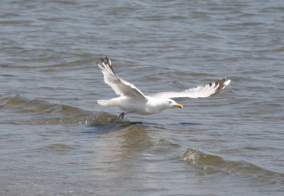 IMG_8647.jpg