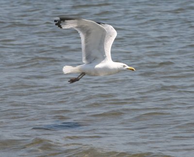 IMG_8649.jpg