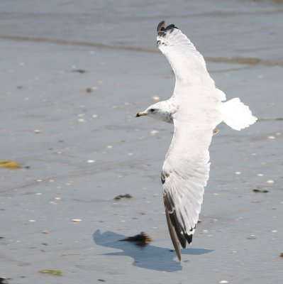 IMG_8666.jpg