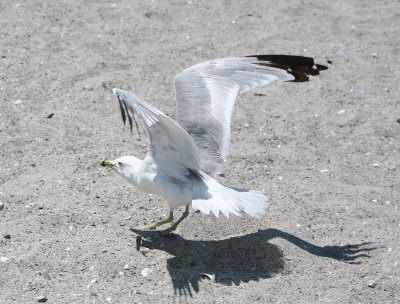 IMG_8679.jpg