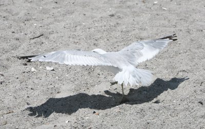 IMG_8680.jpg