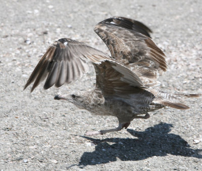 IMG_8688.jpg