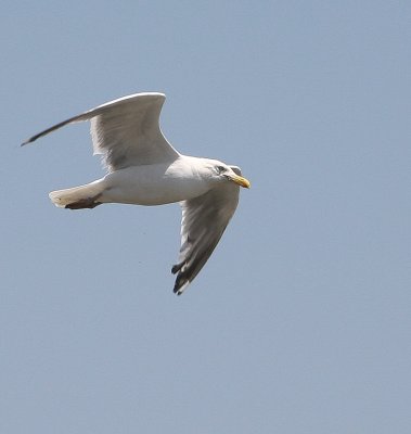 IMG_8733.jpg