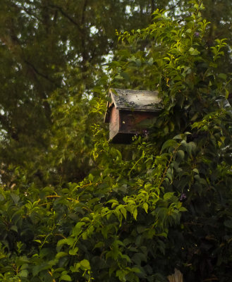 SDIM6183.jpg