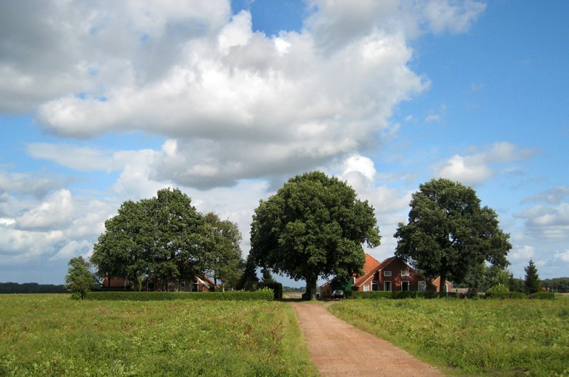 Harpel - Buurkeweg