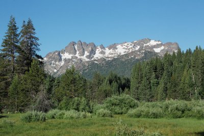 Sierra Buttes from Bassett's Meadow