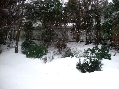 Snow's great until you have to shovel
