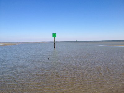 IMG_0233.JPG
