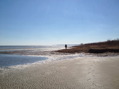 IMG_0235.JPG