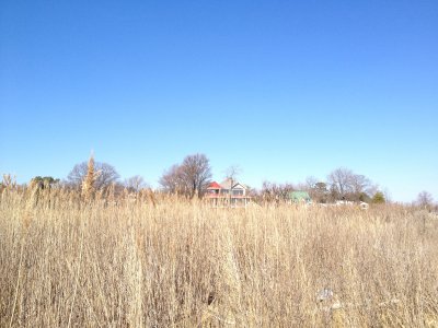 IMG_0237.JPG