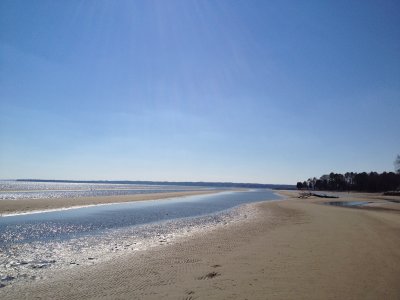 IMG_0242.JPG