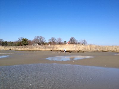 IMG_0244.JPG