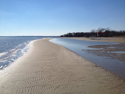 IMG_0247.JPG