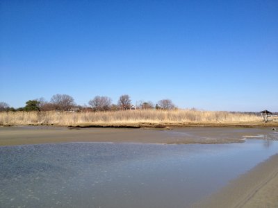 IMG_0249.JPG