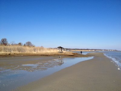 IMG_0251.JPG