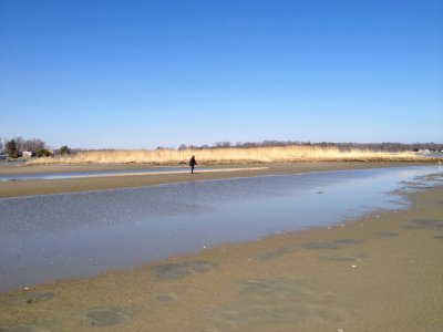 IMG_0259.JPG