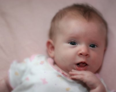 g4/44/39344/3/63838135.bS3XwcmN.jpg