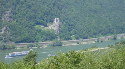 Blick ins Rheintal bei Assmannshausen..  im Hintergrund Burg Rheinstein