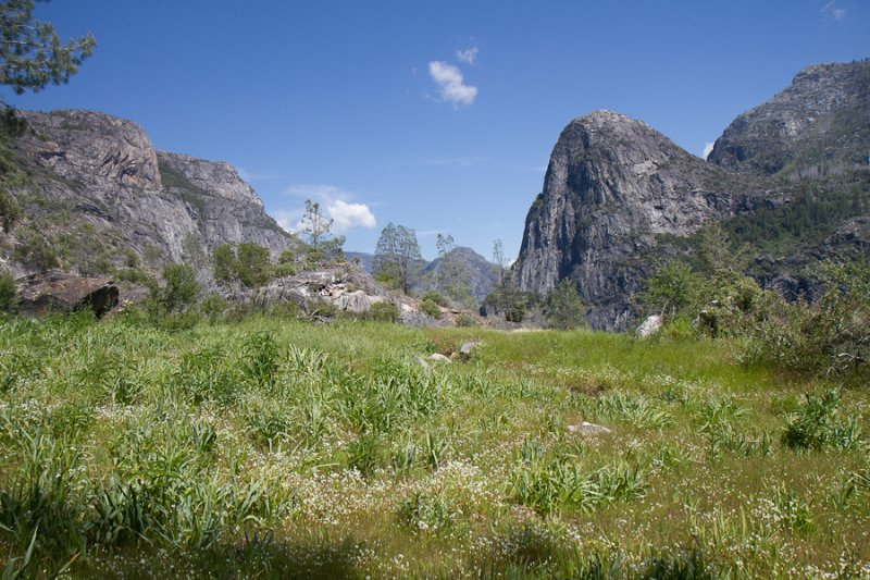 _MG_4151.jpg