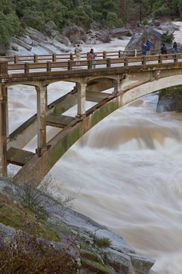 _MG_6246.jpg