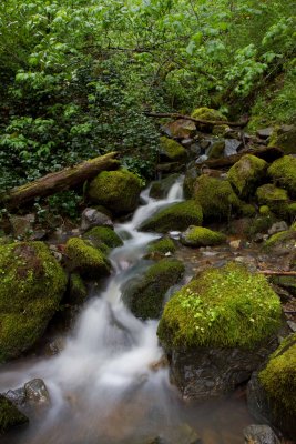 _MG_8264.jpg
