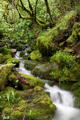 _MG_8297.jpg