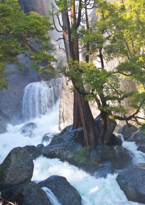 Yosemite