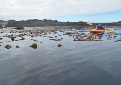 Caspar Cove tour