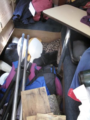 That's Sadie underneath all the gear.  She doesn't care.