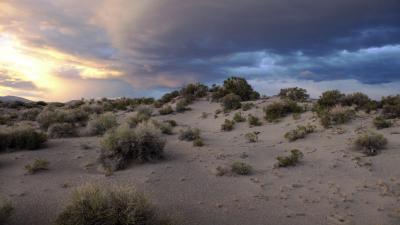 Mono Lake sky