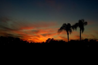 A Florida Sunset in Winter