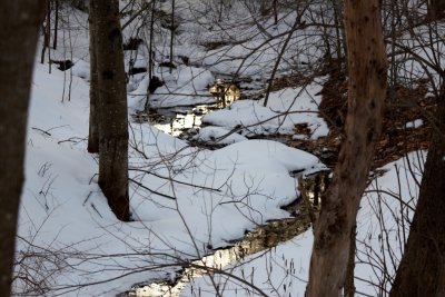 Brook at Twilght
