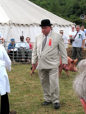 Judging the Pig Competition