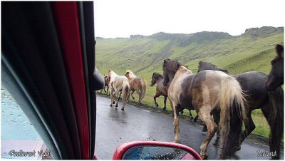 the view from the car window