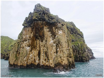 Welcome to Vestmannaeyjar islands