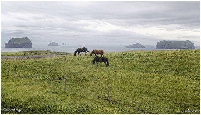 Vestmannaeyjar islands