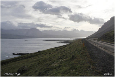 Along the fjord