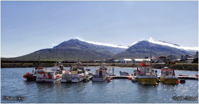 Dalvik fishing harbour