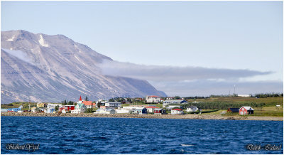 Dalvik