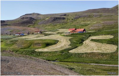 A farm along the road