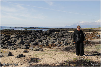 Seals colony at Snaefellsnes
