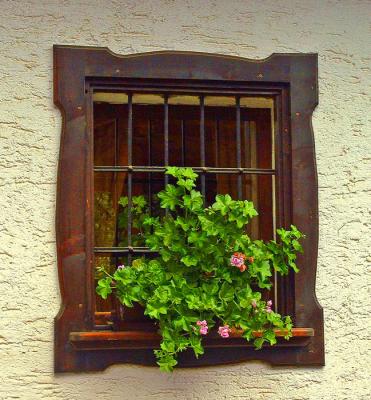 Slovenian Windows