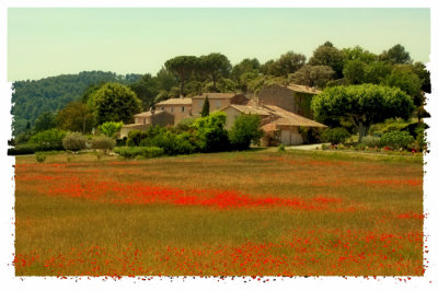 Provence villa.jpg