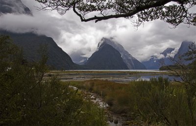 Milford Sound 1