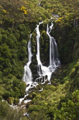 Taupo Falls