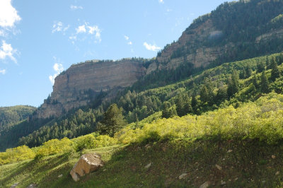 Colorado Rockies