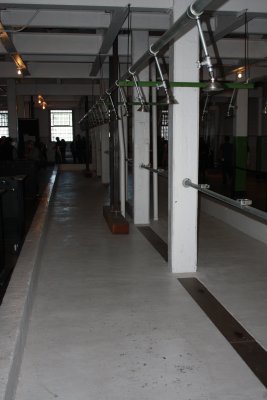 Alcatraz