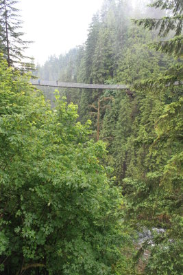 Capilano suspension bridge