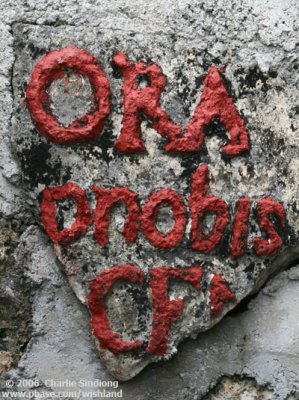 Ora Pronobis (Pray For Us)