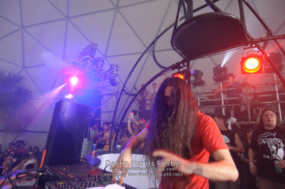 20100325_Ultra_Music_Festival_DHF_7821.jpg